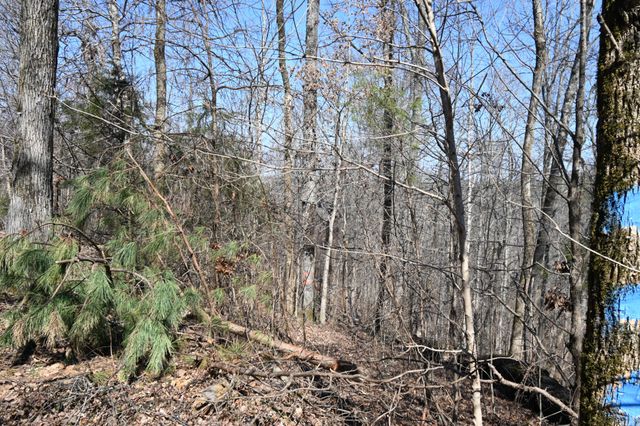 0 Highway 128, Clifton, TN 38425