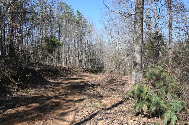 0 Highway 128, Clifton, TN 38425