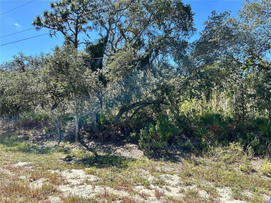 WOODSTORK WAY, Frostproof, FL 33843