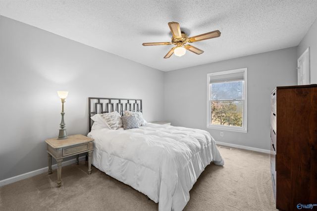 205 Walter Bird Drive, Owens Cross Roads, AL 35763