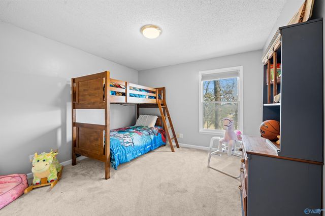 205 Walter Bird Drive, Owens Cross Roads, AL 35763