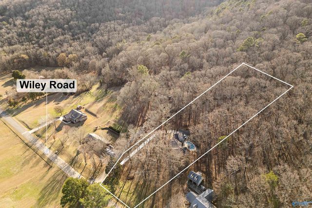 205 Walter Bird Drive, Owens Cross Roads, AL 35763