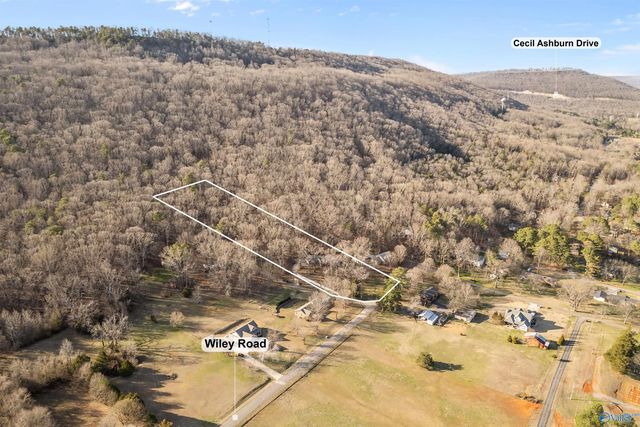 205 Walter Bird Drive, Owens Cross Roads, AL 35763