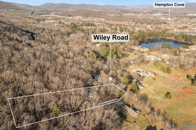 205 Walter Bird Drive, Owens Cross Roads, AL 35763