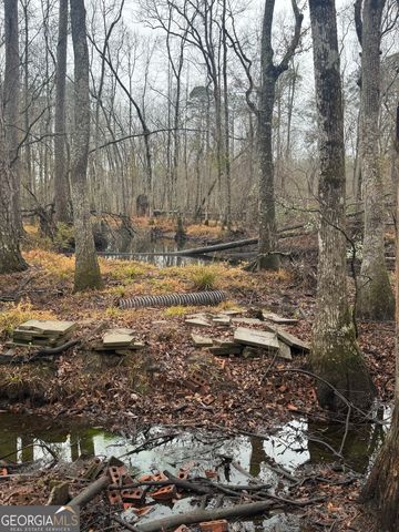 899 Foxboro Lane, Portal, GA 30450