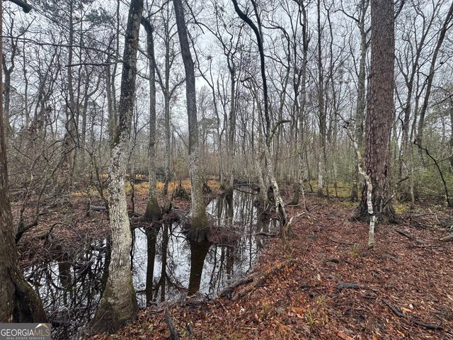 899 Foxboro Lane, Portal, GA 30450