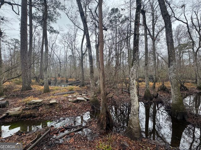 899 Foxboro Lane, Portal, GA 30450