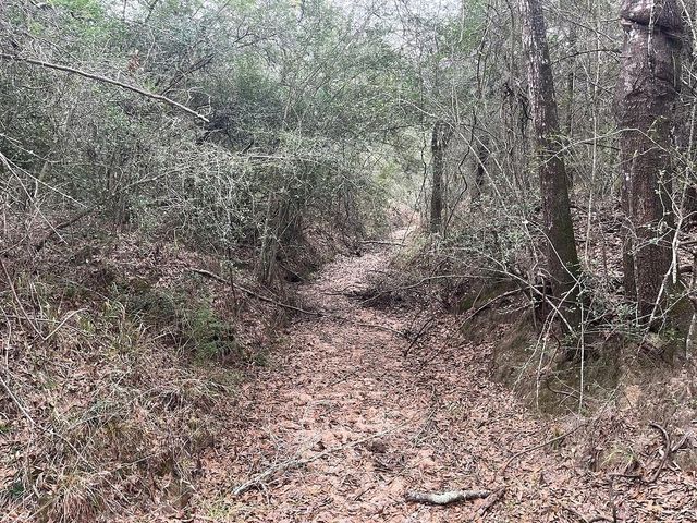 TBD Private Road 1019, Hallettsville, TX 77964