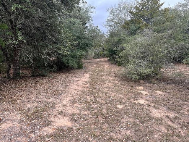TBD Private Road 1019, Hallettsville, TX 77964