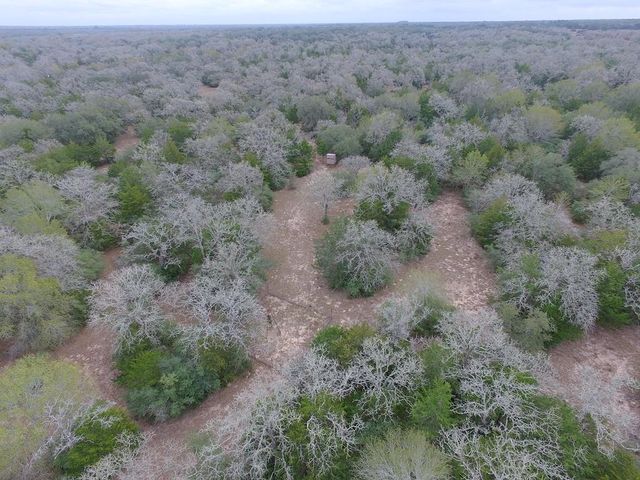 TBD Private Road 1019, Hallettsville, TX 77964