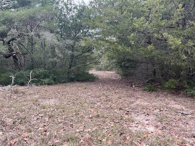TBD Private Road 1019, Hallettsville, TX 77964