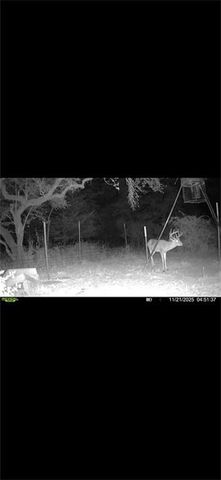 TBD Private Road 1019, Hallettsville, TX 77964