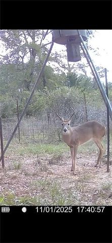 TBD Private Road 1019, Hallettsville, TX 77964