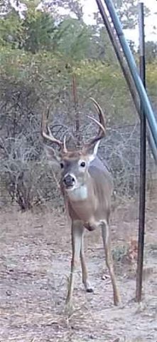 TBD Private Road 1019, Hallettsville, TX 77964