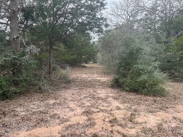 TBD Private Road 1019, Hallettsville, TX 77964