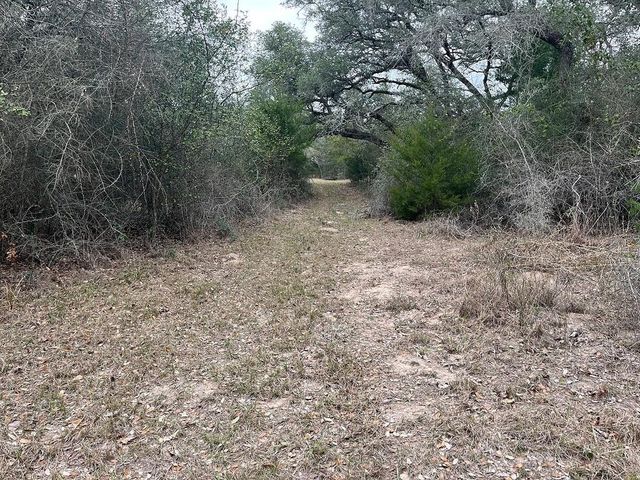 TBD Private Road 1019, Hallettsville, TX 77964