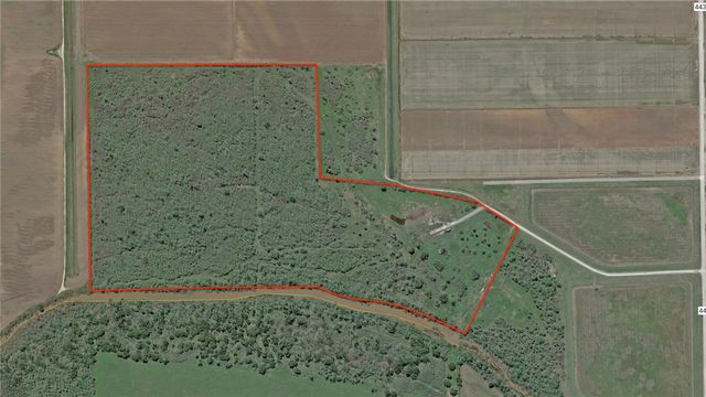 TBD County Road 443, Snook, TX 77878