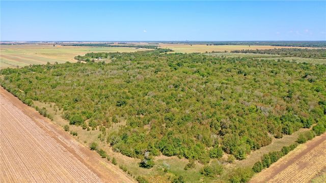 TBD County Road 443, Snook, TX 77878