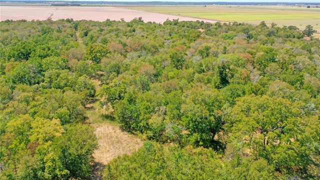 TBD County Road 443, Snook, TX 77878