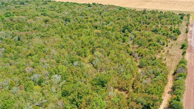 TBD County Road 443, Snook, TX 77878