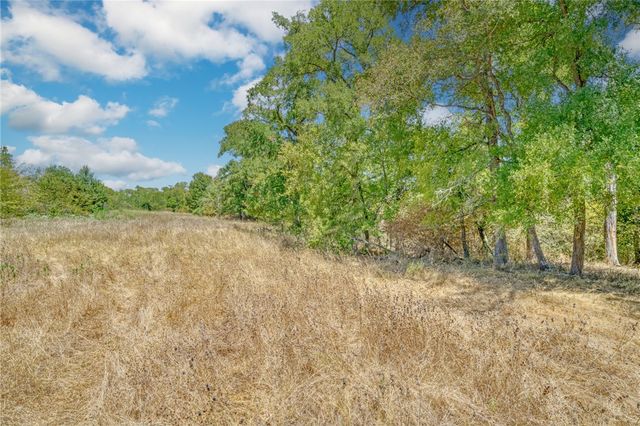 TBD County Road 443, Snook, TX 77878