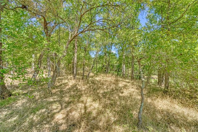 TBD County Road 443, Snook, TX 77878
