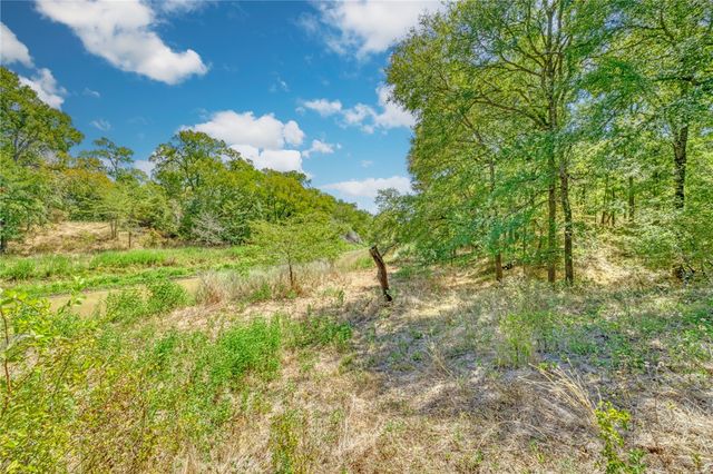 TBD County Road 443, Snook, TX 77878