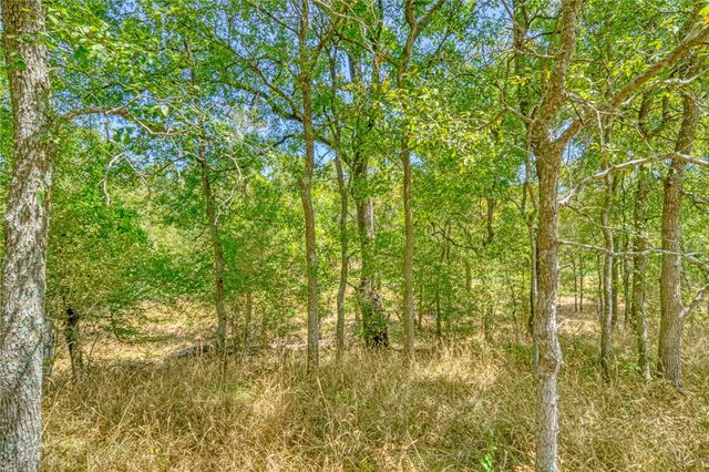 TBD County Road 443, Snook, TX 77878