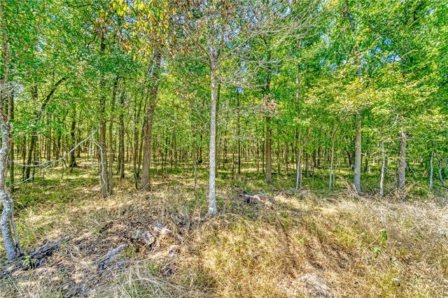 TBD County Road 443, Snook, TX 77878