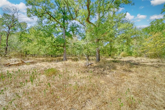 TBD County Road 443, Snook, TX 77878