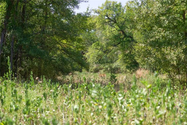 TBD County Road 443, Snook, TX 77878