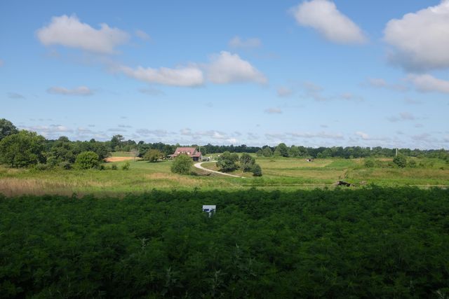 42 Wolf Bend, East Bernstadt, KY 40729