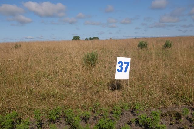 42 Wolf Bend, East Bernstadt, KY 40729