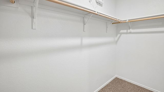 311 Palestine TRL, Kyle, TX 78640