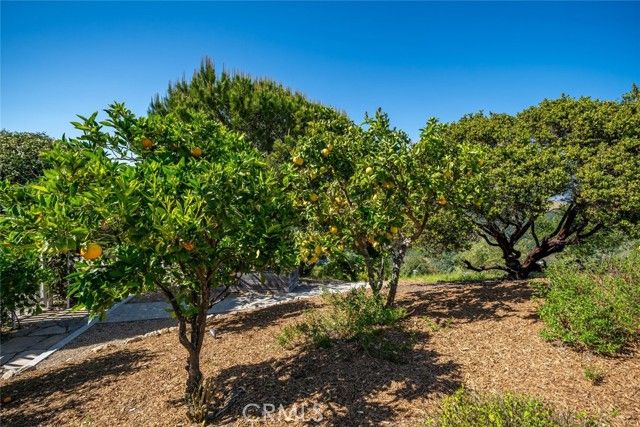 2650 Skyview Trail, San Luis Obispo, CA 93405