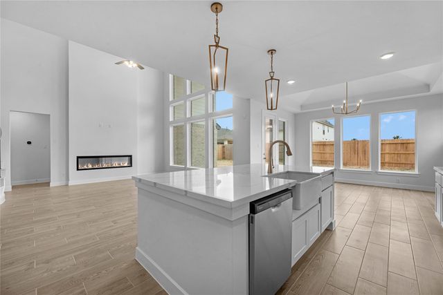 25207 Aster Hills Lane, Katy, TX 77493