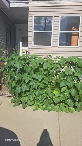 4 Plum St 3, Worcester, MA 01604