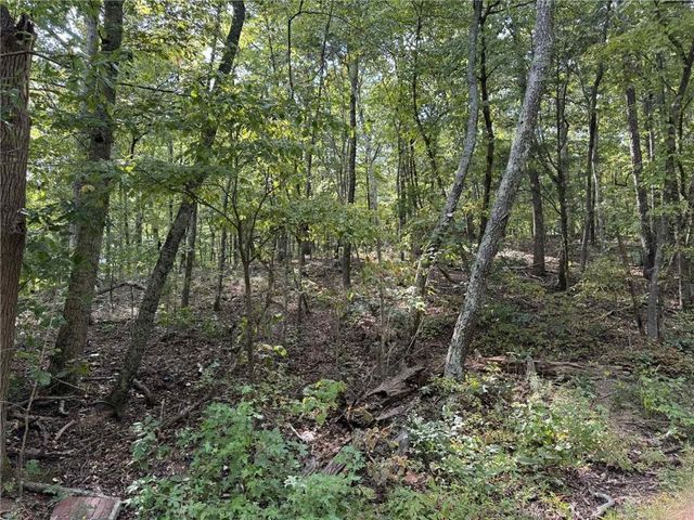 0 Cagle NE Road, Fairmount, GA 30139