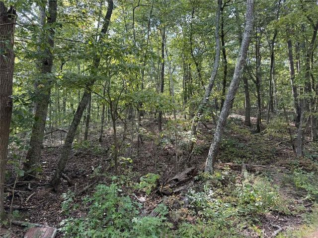 0 Cagle NE Road, Fairmount, GA 30139