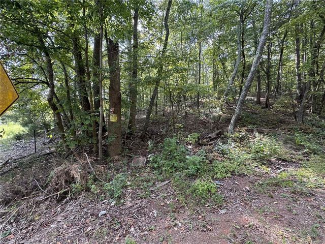 0 Cagle NE Road, Fairmount, GA 30139