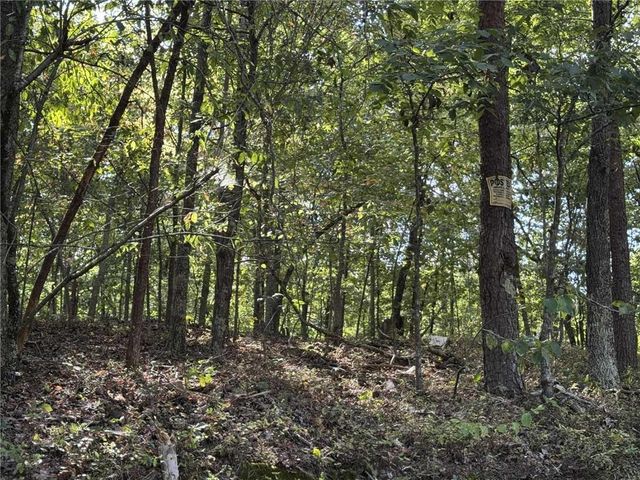 0 Cagle NE Road, Fairmount, GA 30139