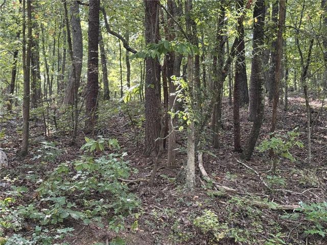 0 Cagle NE Road, Fairmount, GA 30139