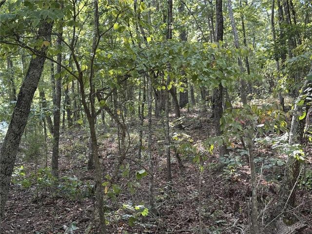 0 Cagle NE Road, Fairmount, GA 30139