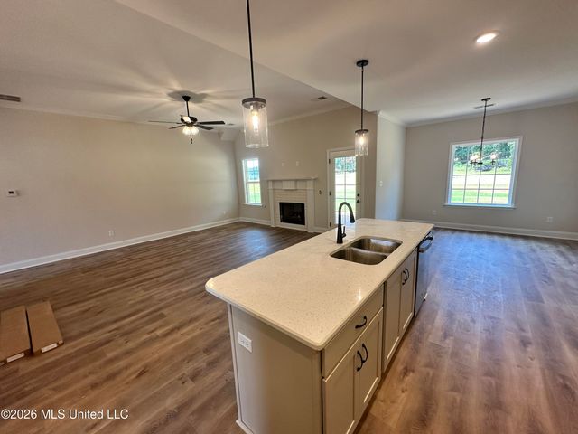 875 Hazelwood Drive, Lake Cormorant, MS 38641