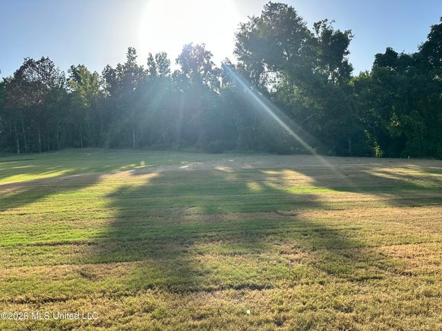 875 Hazelwood Drive, Lake Cormorant, MS 38641