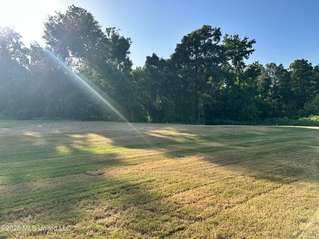 875 Hazelwood Drive, Lake Cormorant, MS 38641