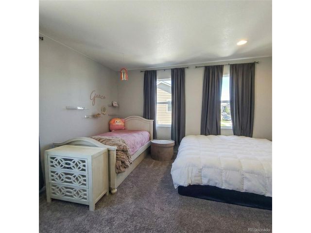 1637 Stoll Dr, Windsor, CO 80550