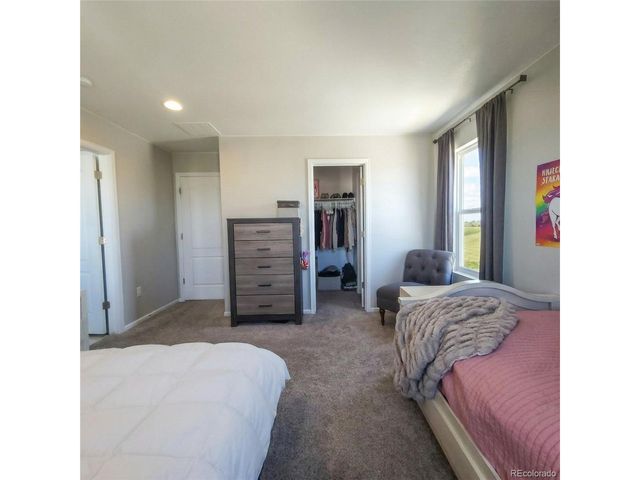 1637 Stoll Dr, Windsor, CO 80550