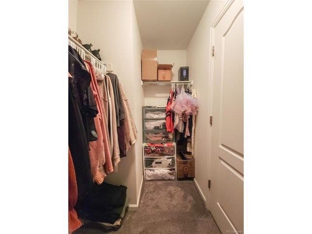 1637 Stoll Dr, Windsor, CO 80550