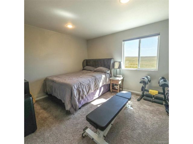 1637 Stoll Dr, Windsor, CO 80550